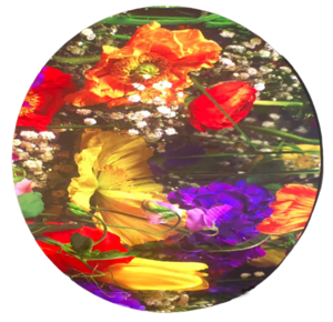 Circular LED Screen